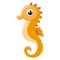 Illustration of a seahorse flat icon