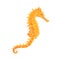Illustration of a seahorse with a spiky head on a white background