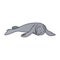 Illustration of Seals Are Lazy Cartoon, Cute Funny Character, Flat Design