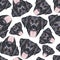 Illustration seamless pattern black Labrador