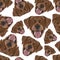 Illustration seamless pattern chocolate Labrador