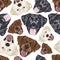 Illustration seamless pattern Labrador Mix