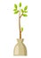 Illustration of seedling tree ready for planting. Gardening or agricultural image.