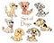 illustration, set of hand-drawn bright diverse funny puppies dogs on a white background, for children