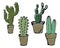 illustration, a set of multi-colored different cacti in flowerpots