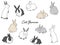 Illustration set of various kinds of rabbits