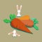Illustration Sets: The Rabbits and Big Carrots isolated.