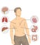 Illustration of shirtless man with the main organs of the human body, heart, brain, liver, intestine, stomach, lungs