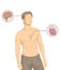 Illustration of shirtless man with the main organs of the human body, heart, brain, liver, intestine, stomach, lungs