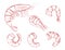Illustration of shrimp in engraving style. Design element for logo, label, sign, poster, pattern. Vector illustration