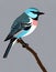 Illustration of single bird, nature, wild life, grey background, detailed, AI Generated