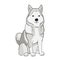 Illustration of sitting siberian husky. Vector art of animal on white background. Cute cartoon husky drawn by hand