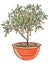 Illustration sketch cartoon style potted decor plant jacobinia few-flowered blooming bright garden element