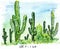 Illustration sketch Landmark big tall cactus