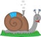 Illustration Snail with his home on the back