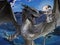 Illustration of a snarling gray dragon with spread wings and talons up against a background of a lake with a rising moon