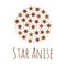Illustration. Spice. Star anise Badian. Round pattern