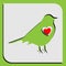 Illustration a spring card with a silhouette of a bird with a shadow on a green background and red heart inside for a