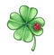 Illustration by a St. Patrick`s Day a green clover