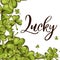 Illustration of St. Patrick`s day. Lucky poster.Vector background. Sweet lettering for card