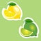 Illustration sticker set of lemon and lime fruits
