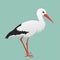 An illustration of a stork