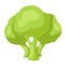 Illustration of stylized broccoli.