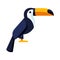 Illustration of stylized toucan. Image of wild bird in simple style.