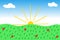 Illustration of a sunrise over a field of flowers. Drawing bright sun with rays, clouds and tarva with flowers