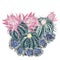 Illustration, T-shirt print with pink blooming cactus and blue succulents