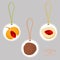 Illustration on theme big set different types spice nutmeg