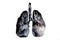 Illustration of a toxic smoke formation shaped as the human lung, The concept of cigarette smoker lungs