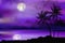 Illustration of tropical beach at night