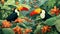 illustration of tropical rainforest with toucans.