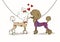 Illustration of two lovers Poodle dogs