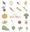 Illustration of various vegetables isolated on white background