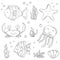 Illustration Vector doodle set of elements of marine life. Underwater World collection. Icons and symbols hand drawing sketch