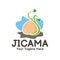 Illustration vector graphic of a jicama upside down on the ground with dangling leaves