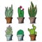 Illustration vector graphic of set pack cactus and suculent flowers