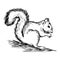 Illustration vector hand draw doodles of squirrel isolated on wh