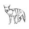 Illustration vector hand drawn of aardwolf on white bac