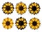 Illustration of vector set colorful sunflowers icons