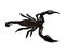 illustration of a venomous black scorpion with poison in its tail