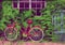 Illustration of a Vintage Bicycle Resting Against a garden house in an Overgrown Garden