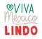illustration of viva mexico lindo