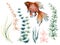 Illustration watercolor hand paint isolated  asian goldfish and aquatic plants seaweed foliage oriental  festive season spring and