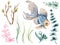 Illustration watercolor hand paint isolated  asian goldfish and aquatic plants seaweed foliage oriental  festive season spring and