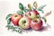 illustration of watercolor painting apples on the white background