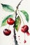 illustration of watercolor painting cherries on the white background