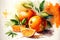 illustration of watercolor painting oranges on the white background